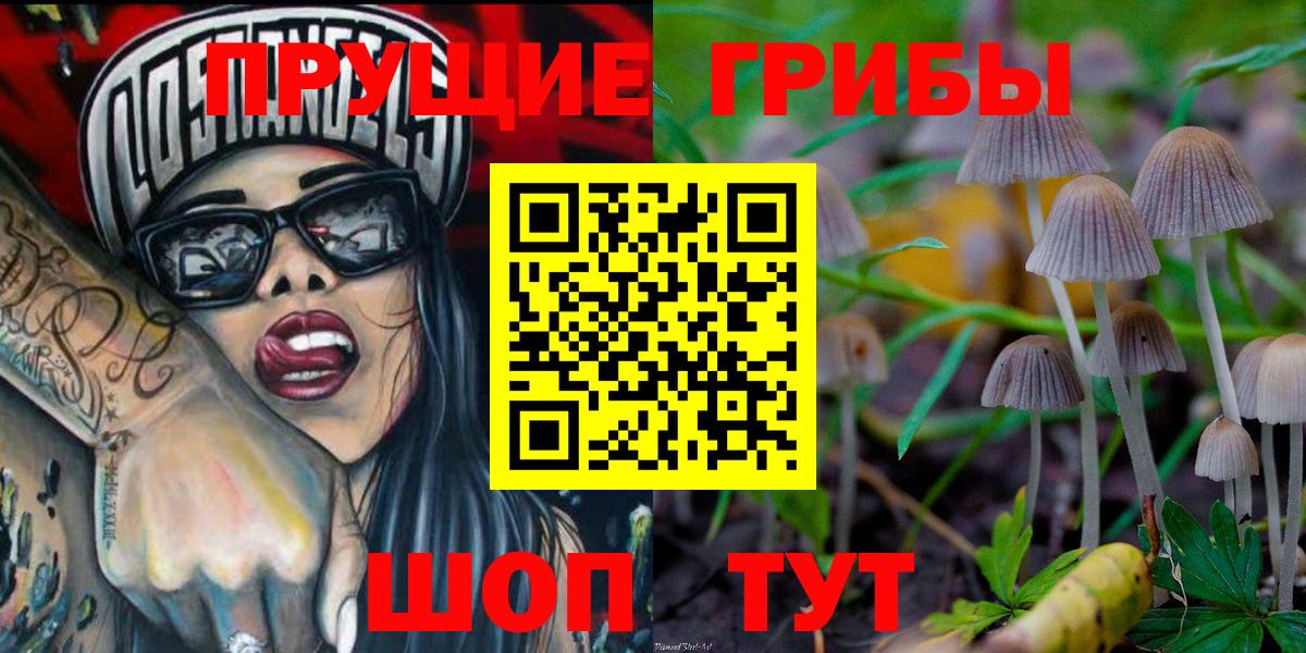 Псилоцибиновые грибы Cubensis  Вход с VPN  Кисловодск 